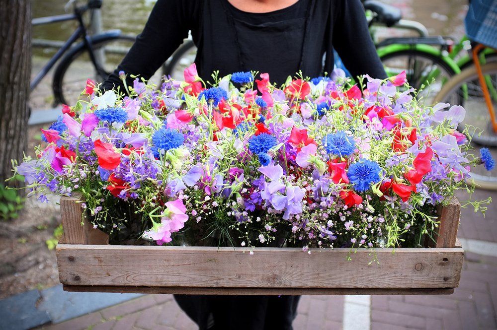 Seizoensbloemen op weg naar een speciaal evenement. Afbeelding: Melissa Whelan