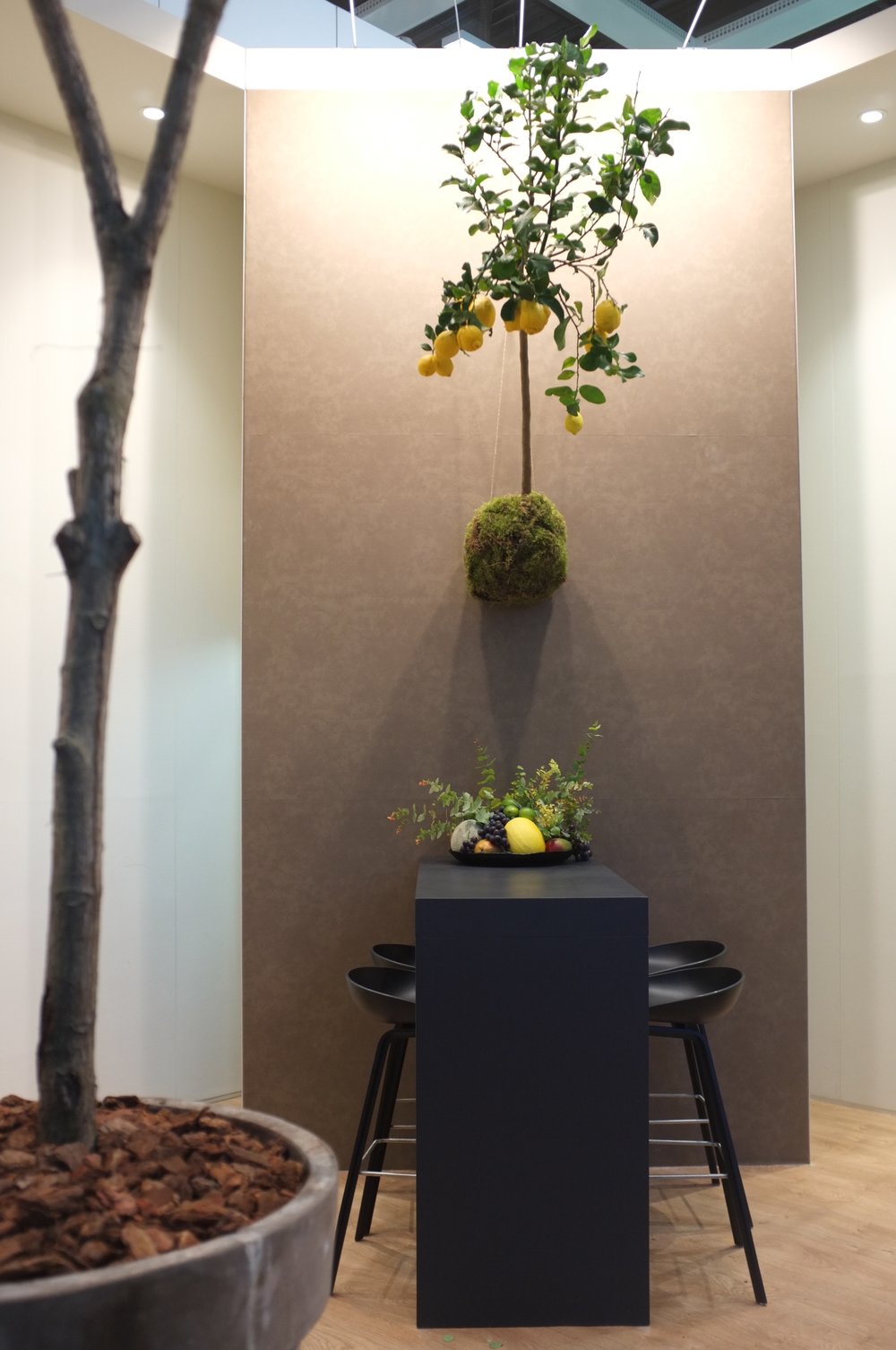A.P Bloem Amsterdam Bloemist Bloemist Evenement Decoratie Decoratie Messe Berlijn Op locatie Fruit bloemen bloemen project stylist citroenboom boom constructie display tentoonstelling