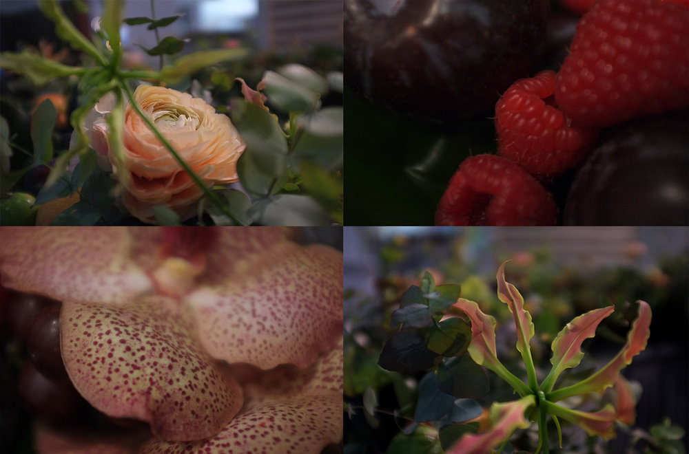 A.P Bloem Amsterdam Bloemist Bloemist Event Gloriosa beurs Decoratie Decoratie Messe Berlijn Op locatie Fruit bloemen bloemen project stylist arrangement citroenboom boom constructie orchidee evenement