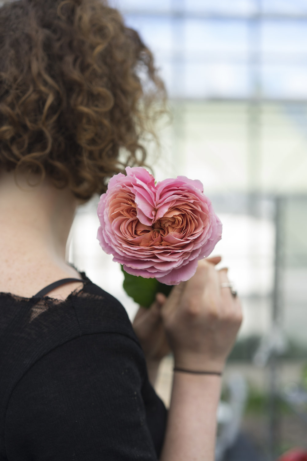 A.P Bloem bloemist kerkstraat amsterdam bloemen bloemen bloemist bloemen boeket boeket arrangement kas vogue fotoshoot fotoshoot pioen pioen pioenrozenroyal bruiloft the royal wedding issue