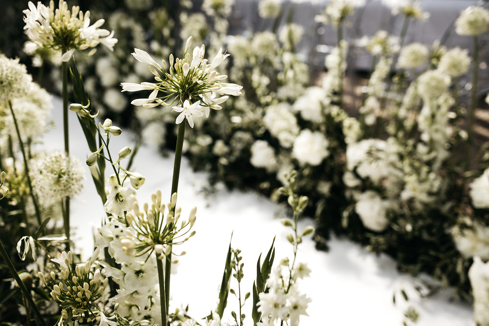 #apbloem #florist #kerkstraat #amsterdam #flowers #bloemen #bloemist #flowers #bouquet #boeket #arrangement #photoshoot #peony #bruiloft #trouwen #bloemenbezorgen #wedding #love #liefde #event #evenement #garden #tuin #bridalgown #bruidsjurk #justma…