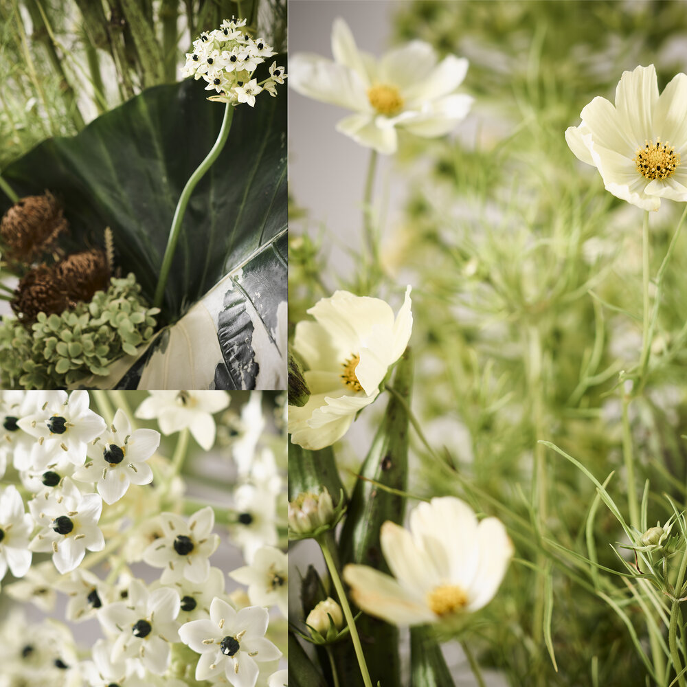 #apbloem #florist #bloemist #amsterdam #bloemenwinkel #kerkstraat #bloemen #flowers #bloemenbezorgen #bestflorist #bestebloemist #essenza #photoshoot #fotoshoot #essenzahome #bespoke #dutchfieldstyle #spiegelkwartier #interiordesign #decoratie #gou…