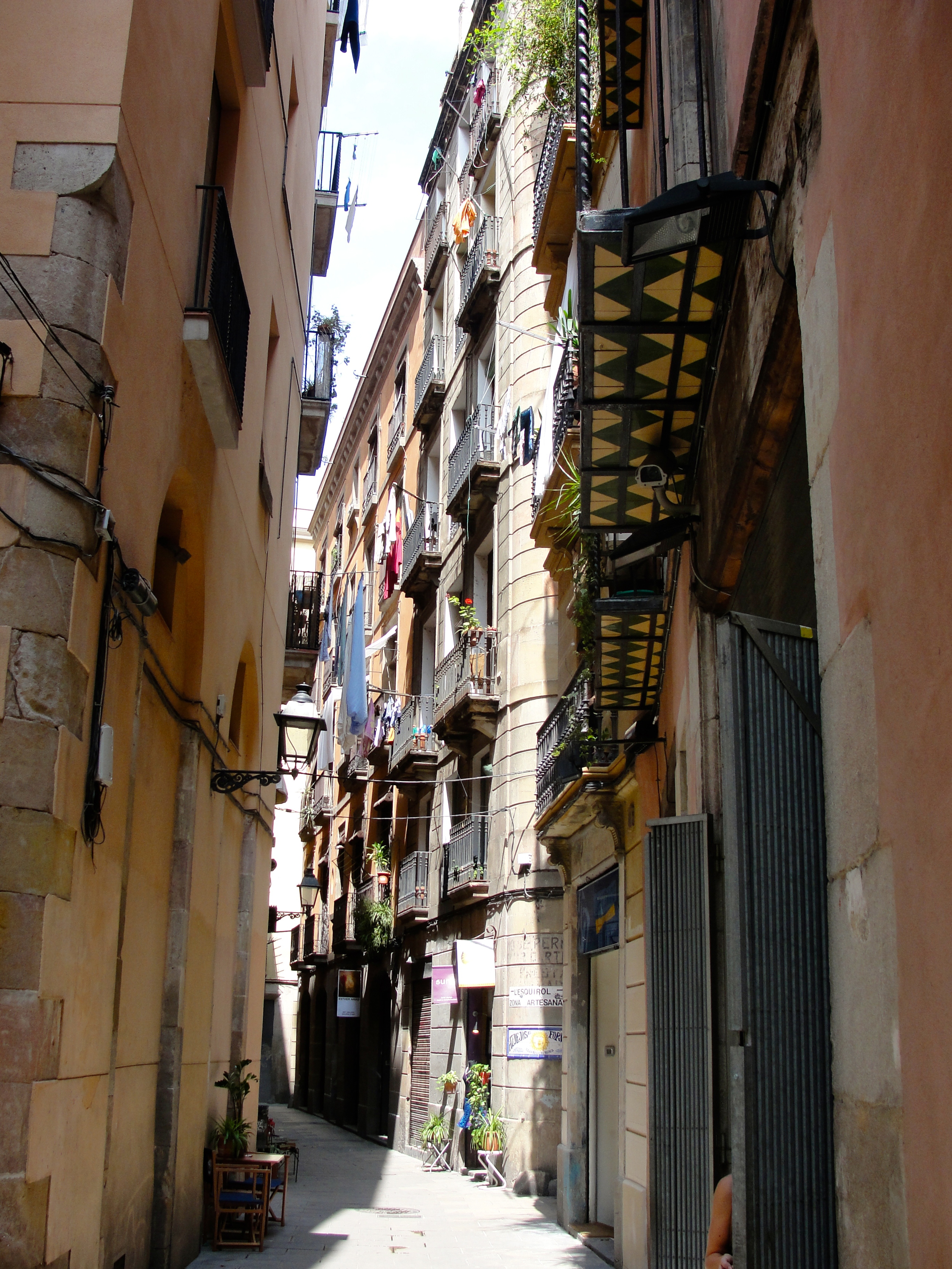 DSC09956.jpg