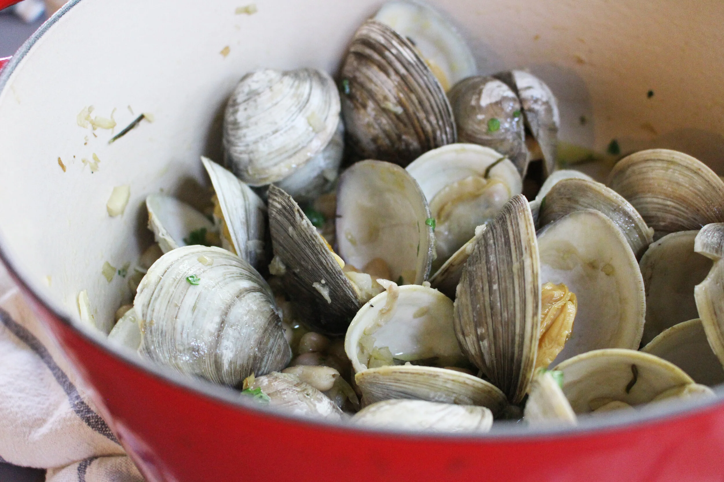 Clams in White Bean Sauce — Hannah ComstockGay