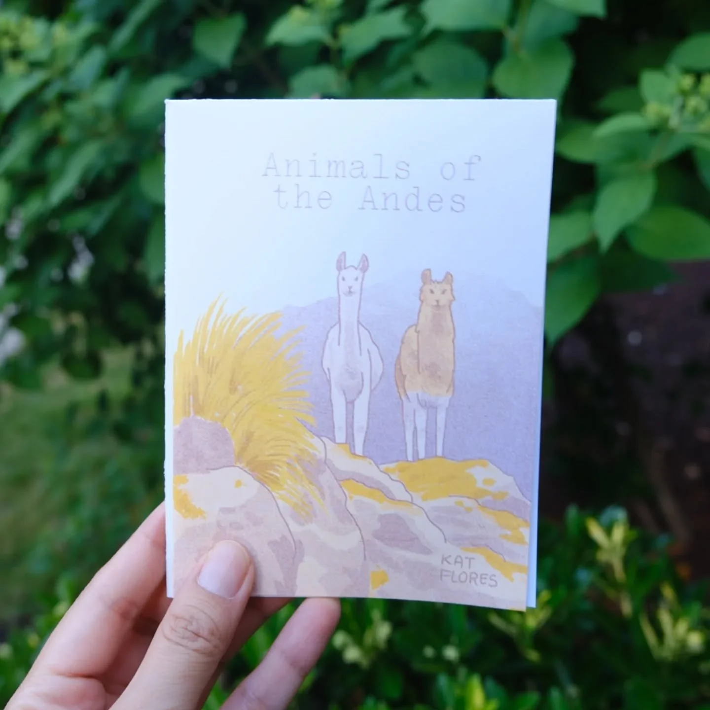 Designed, illustrated, and printed my first risograph zine earlier this month! A single page informational fanzine about Animals of the Andes featuring the viscacha, Andean condor, and more! 🏔️ Printed with light lime, sunflower, and burgundy at the