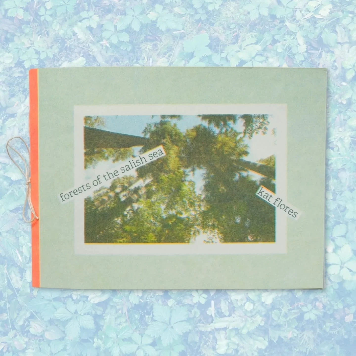 🌲🏔️ forests of the salish sea 🏔️🌲 a riso printed photo zine of my travels to Washington in 2023. Printed with a faux cmyk process using fluorescent&nbsp;orange, yellow, aqua, and hunter green inks.&nbsp;

Creating&nbsp;this zine was thrilling, I 