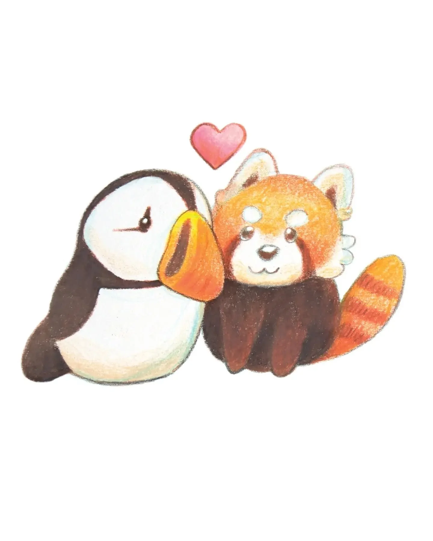 Illustration of our wedding mascots in colored pencil, an atlantic puffin and a red panda! We had stuffed versions to help welcome guests at our welcome table 🌞&nbsp;

A big thank you to our close friends that got married last year and the year befo