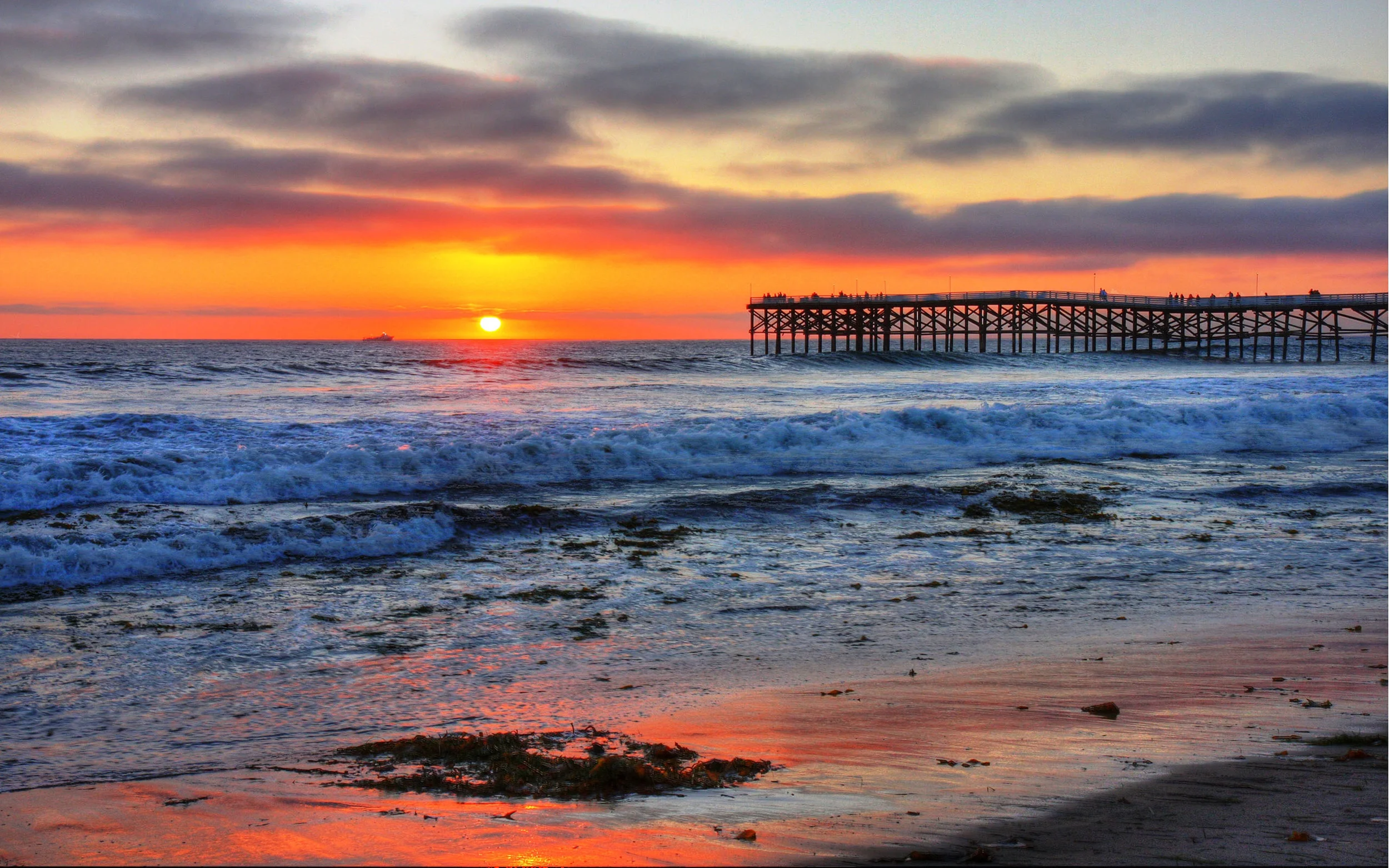 San-Diego-coast-large.jpg