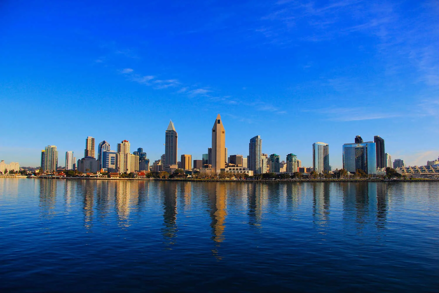 San-Diego-Skyline-large (1).jpg