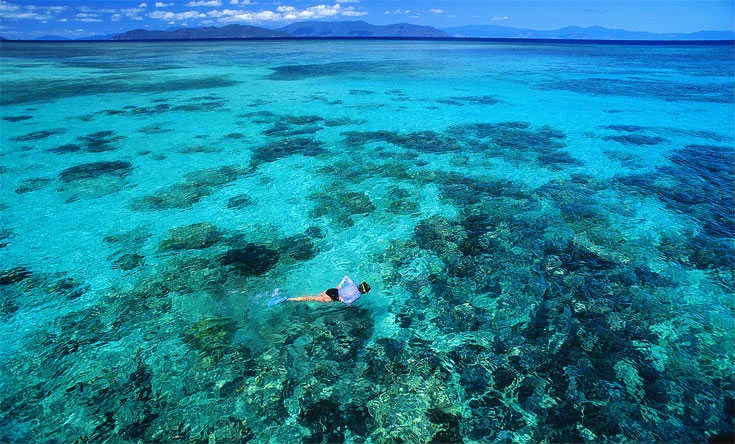 Belize_Snorkeling_Great_Barrier_Reef.jpg