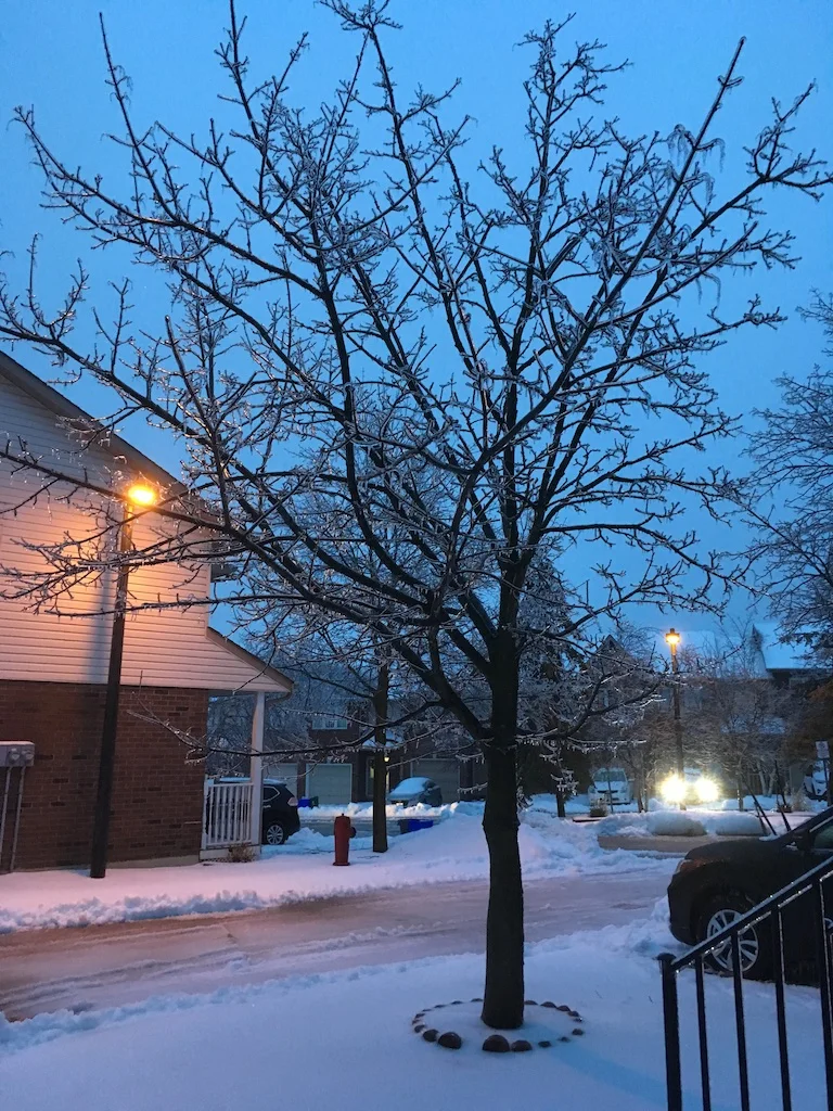 Ice01.jpg
