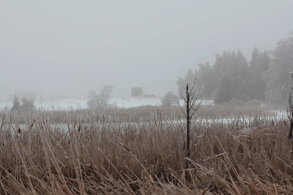 Ice04.jpg