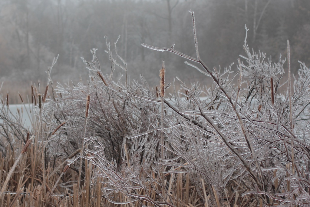 Ice05.jpg