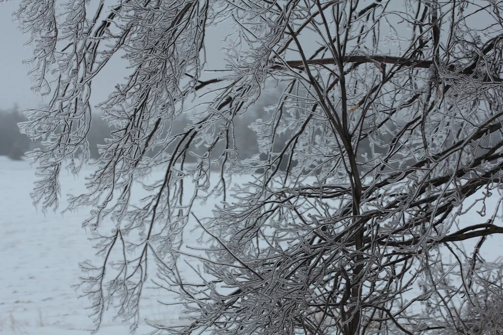 Ice06.jpg