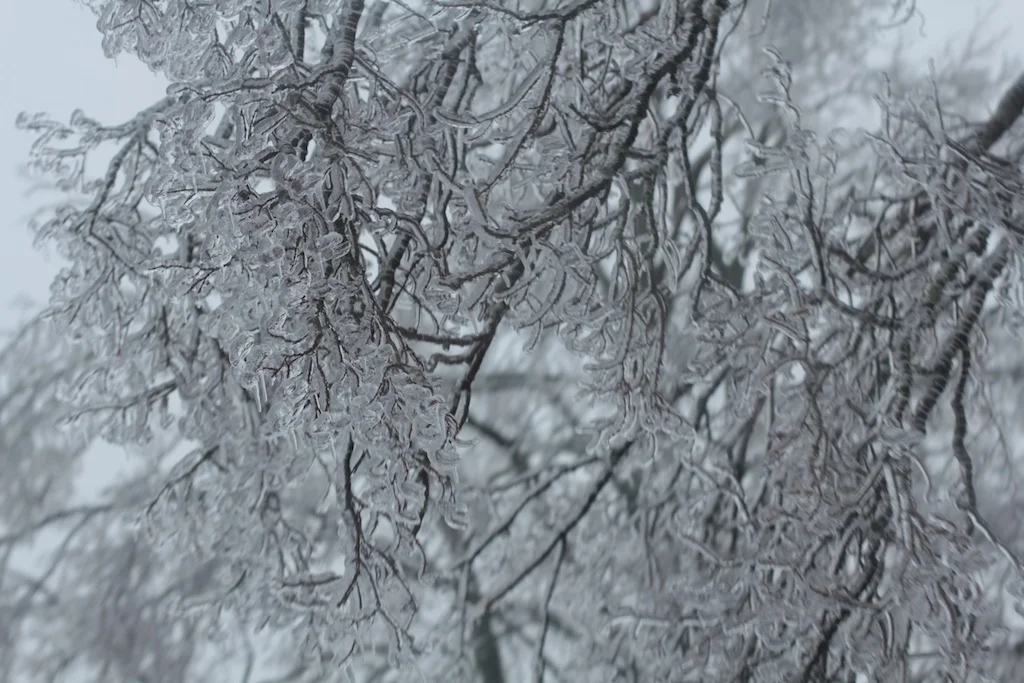 Ice07.jpg