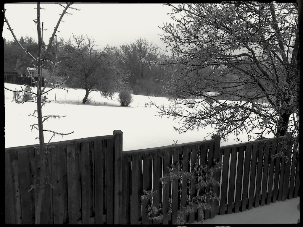 Ice21.jpg
