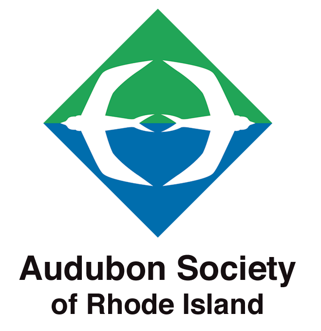 Audubon Society of Rhode Island Summer Camp