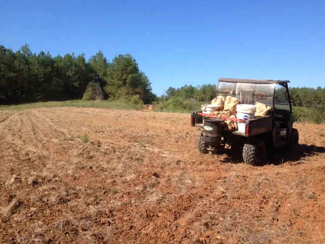 Spreading seed on a green field