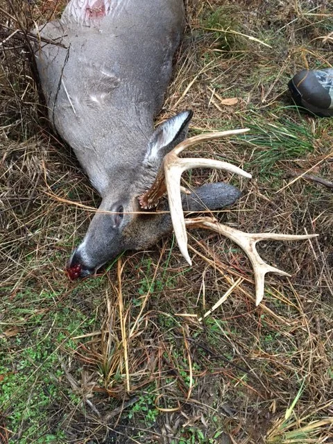 Landon Smith 2016.JPG