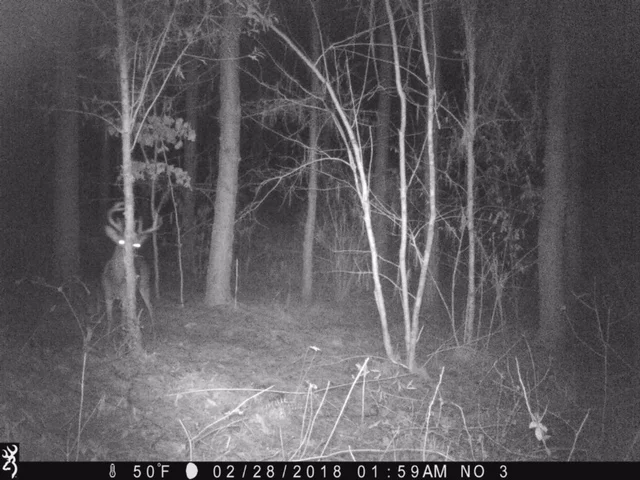 He's still out there! This photo taken after season ended, 2018