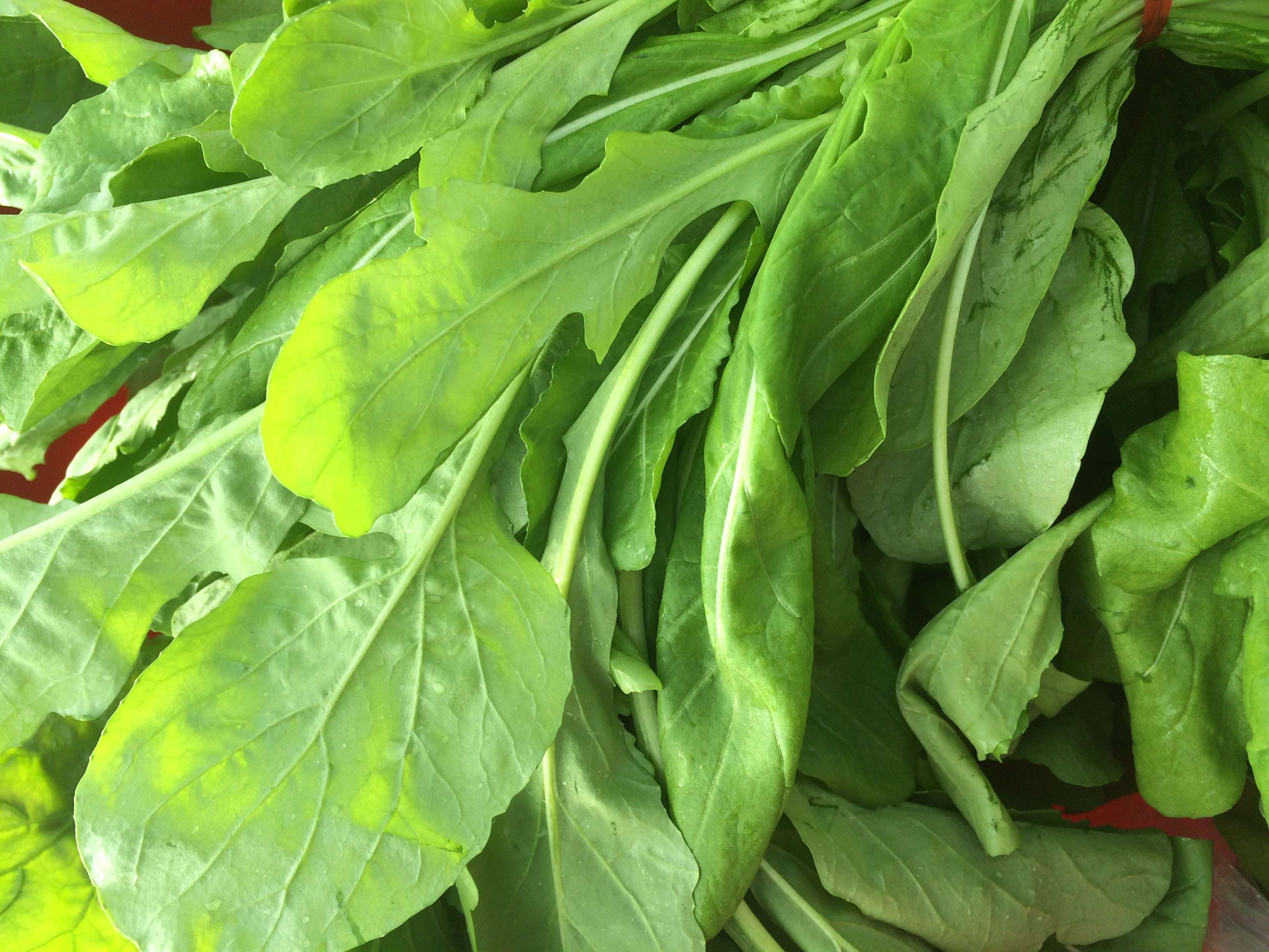 Another gorgeous contribution from Urban Eden Farms. Check out that arugula!