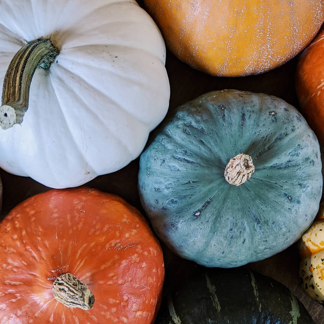 O C T O B E R

So many varieties of winter squash grown by INW farmers are listed on the LINC Marketplace! It seems a bit miraculous that creamy soup or a delicious pie can come out of these colorful orbs. Excited to fill the house with the cozy and 