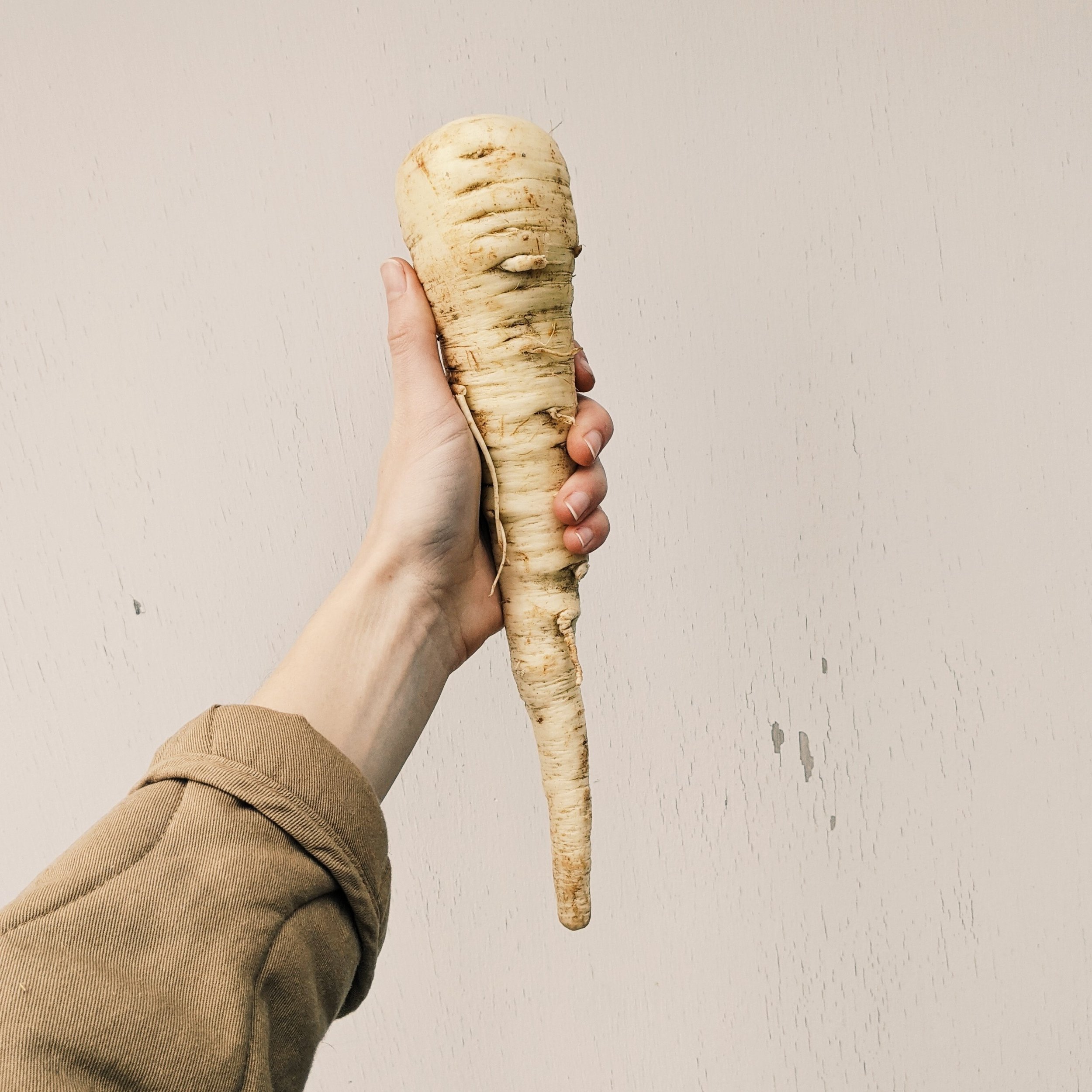 parsnips