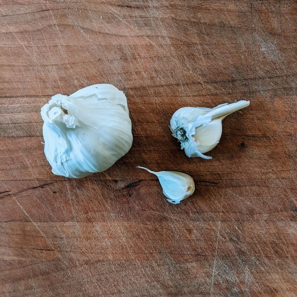 garlic