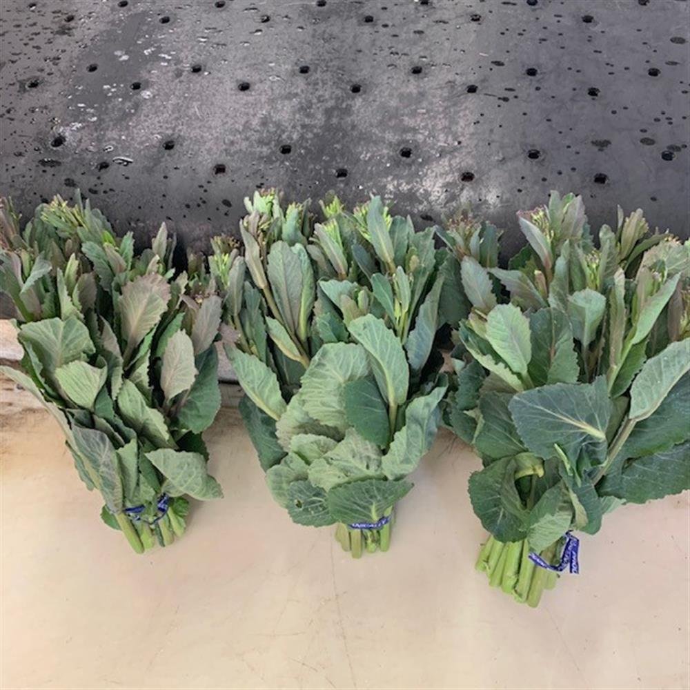 cabbage raab