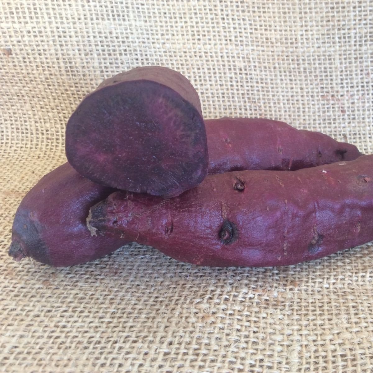 purple perfusion sweet potatoes
