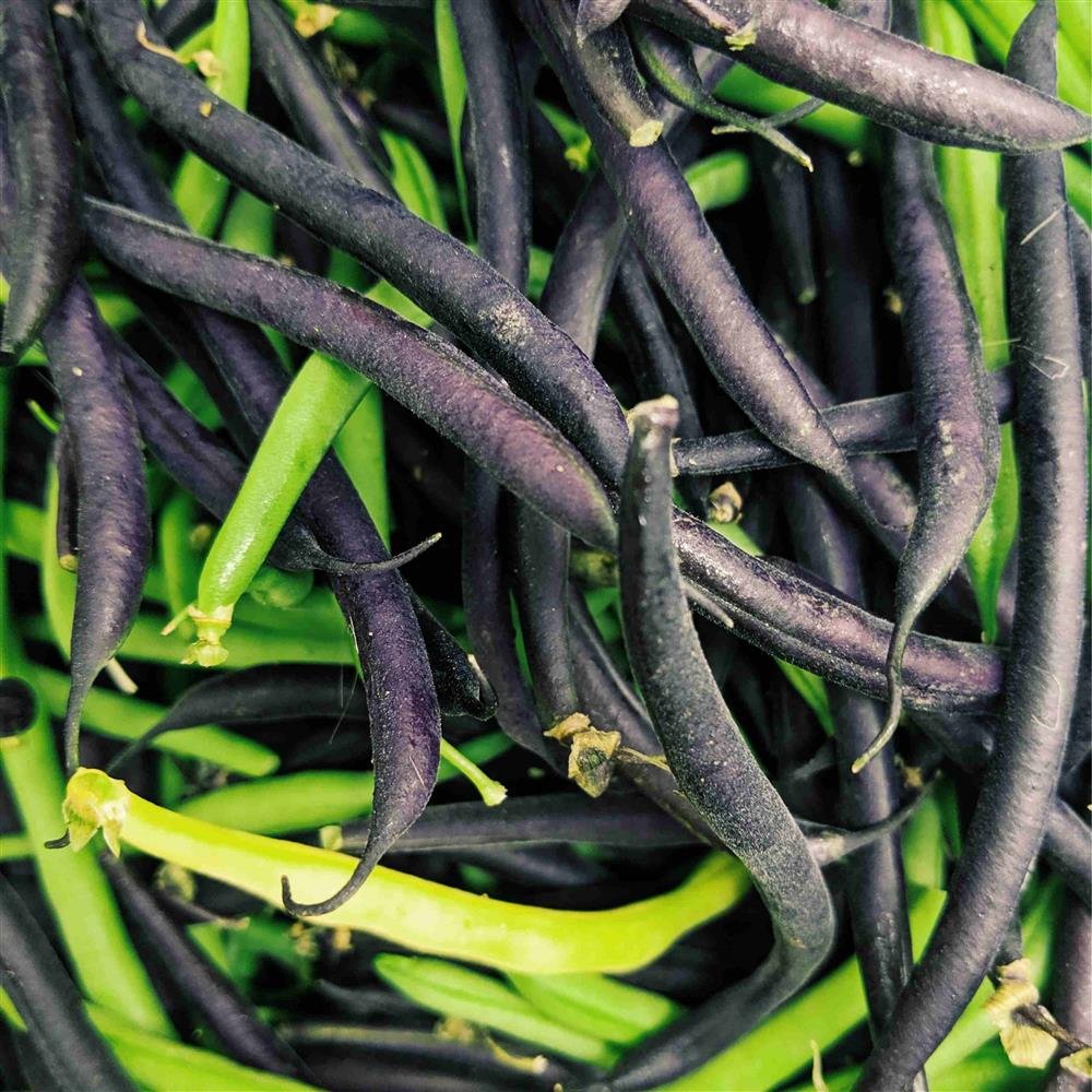 string beans