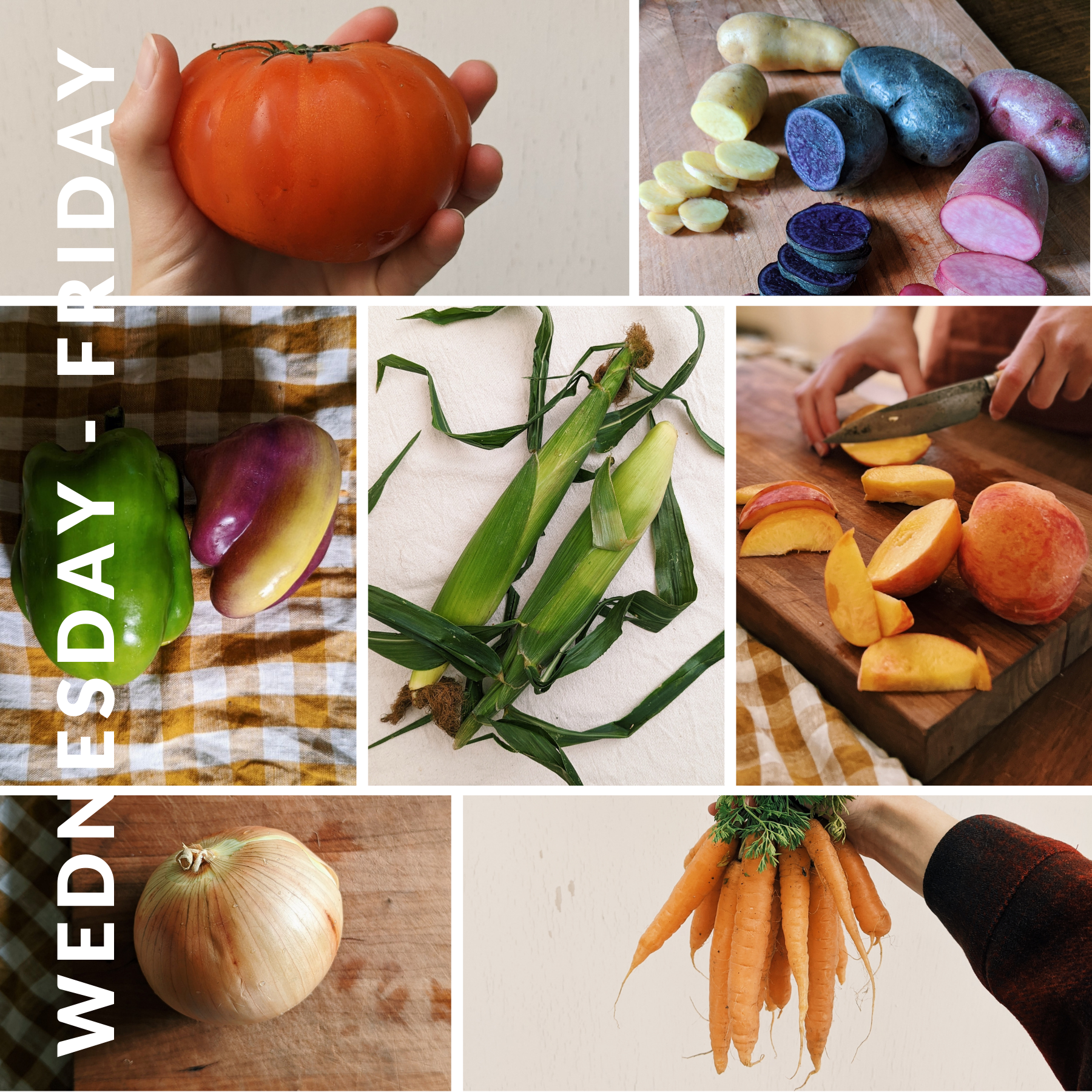 Week of September 4th