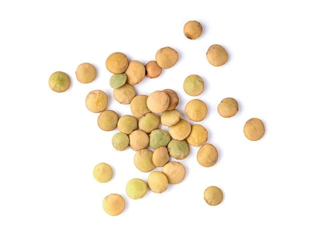 Who is eating our Palouse lentils?