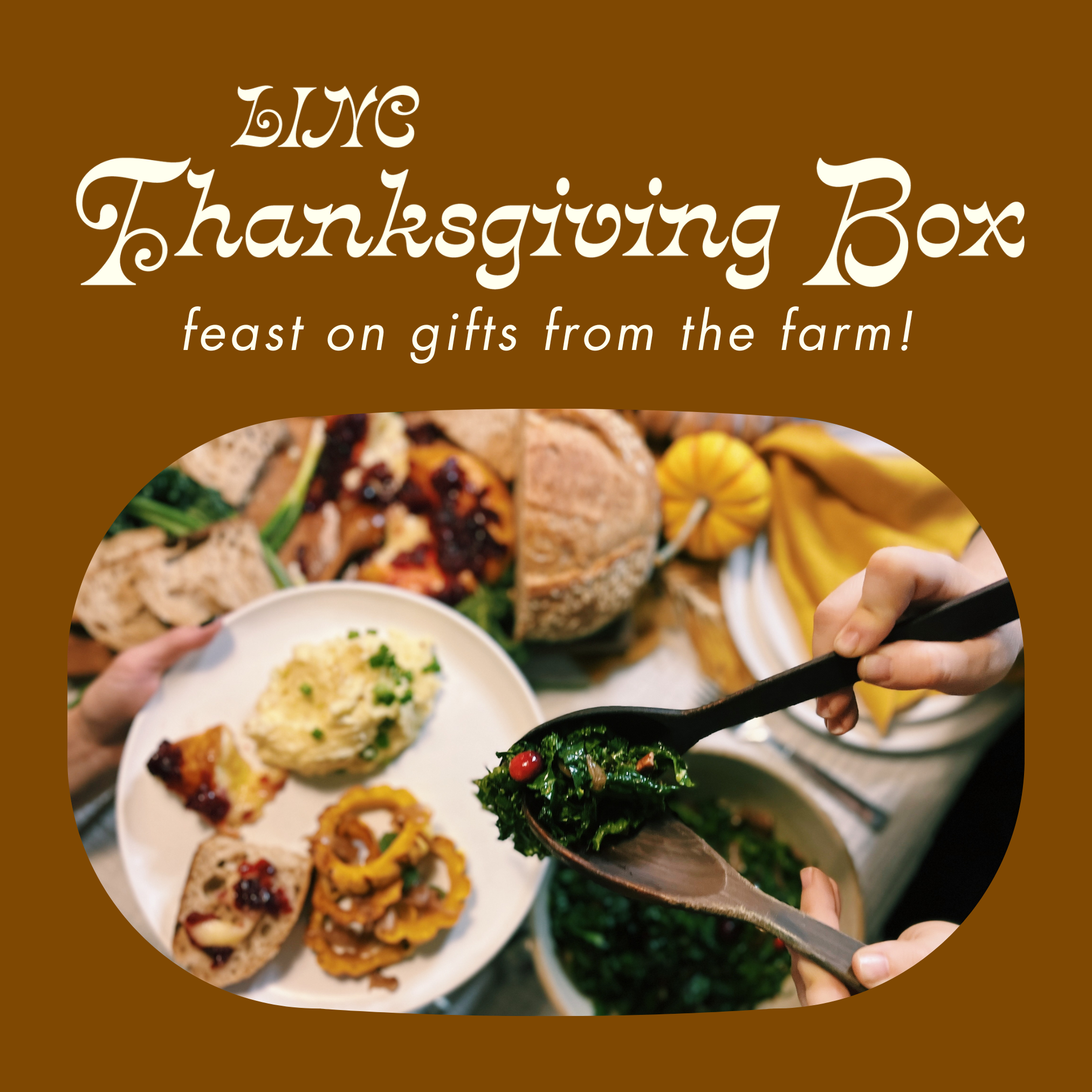 Thanksgiving Box! 