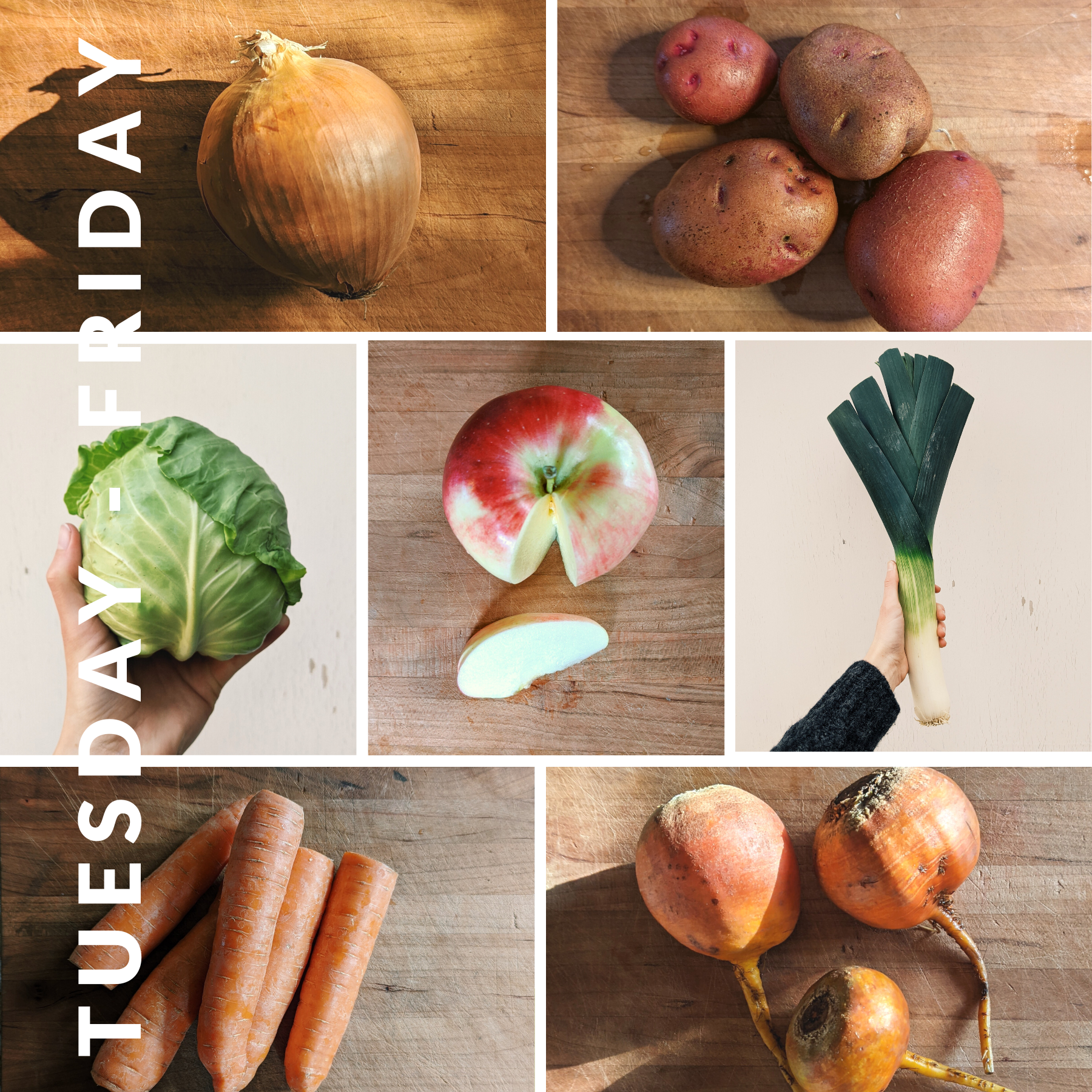 Week of February 5th