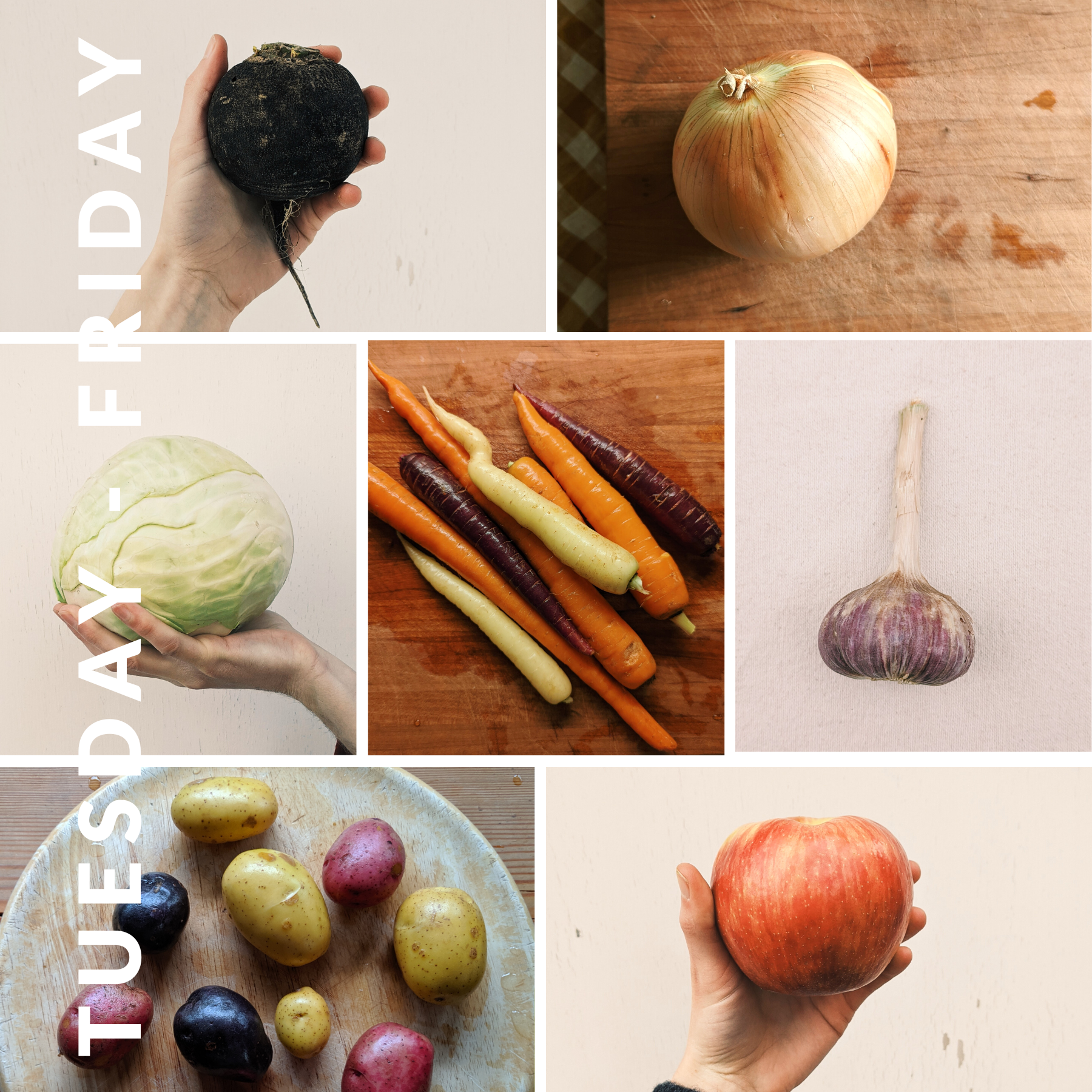 Week of February 19th