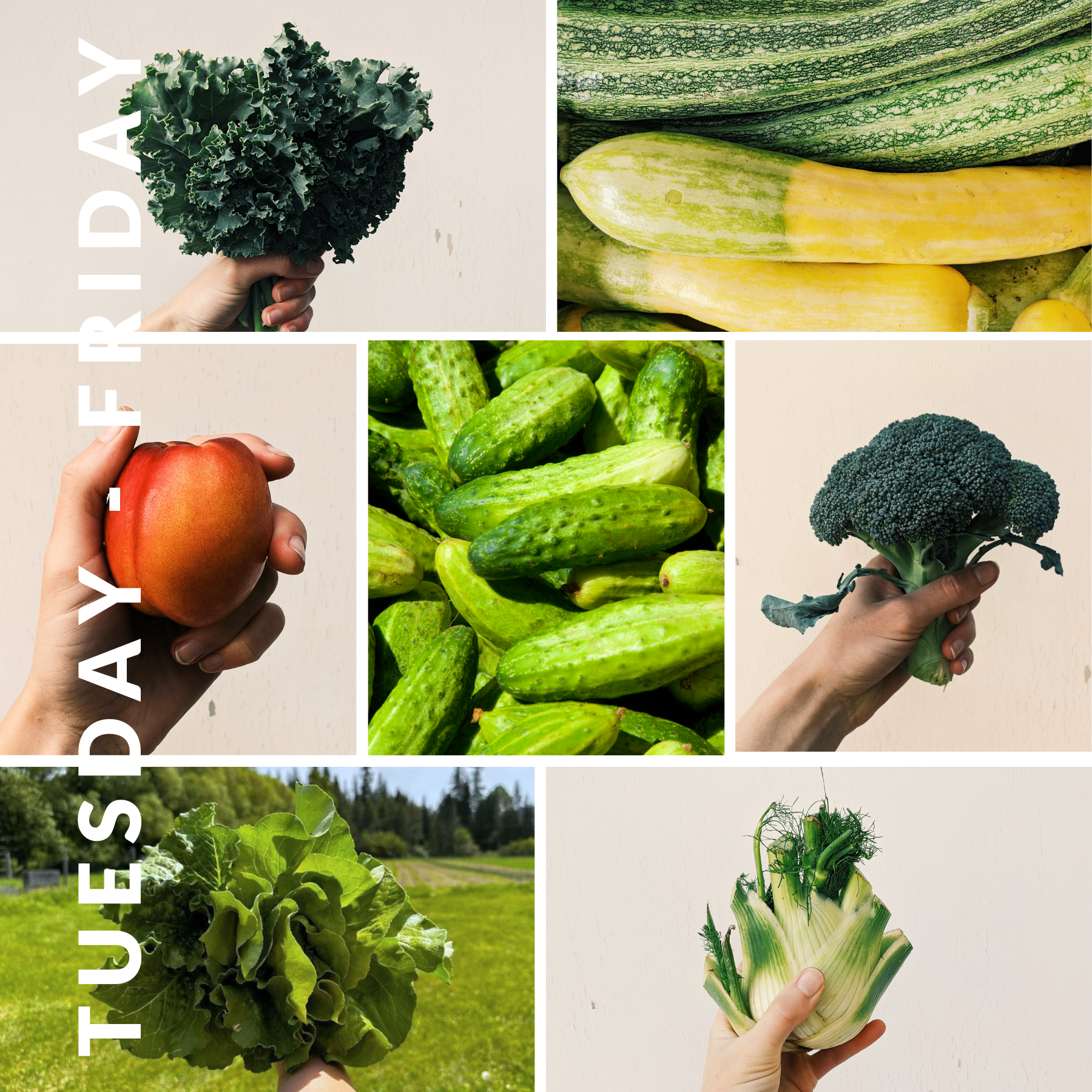 Week of July 23rd