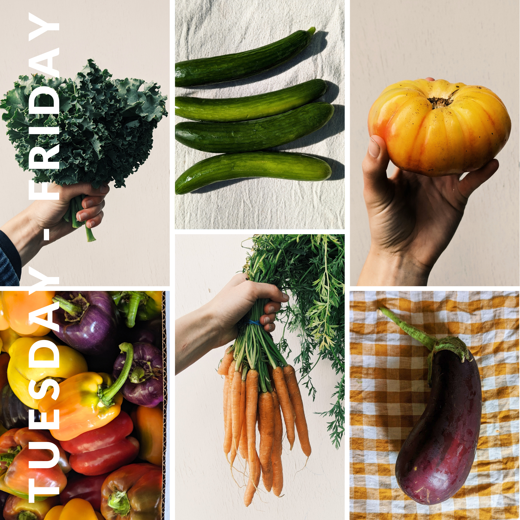 Week of August 13th