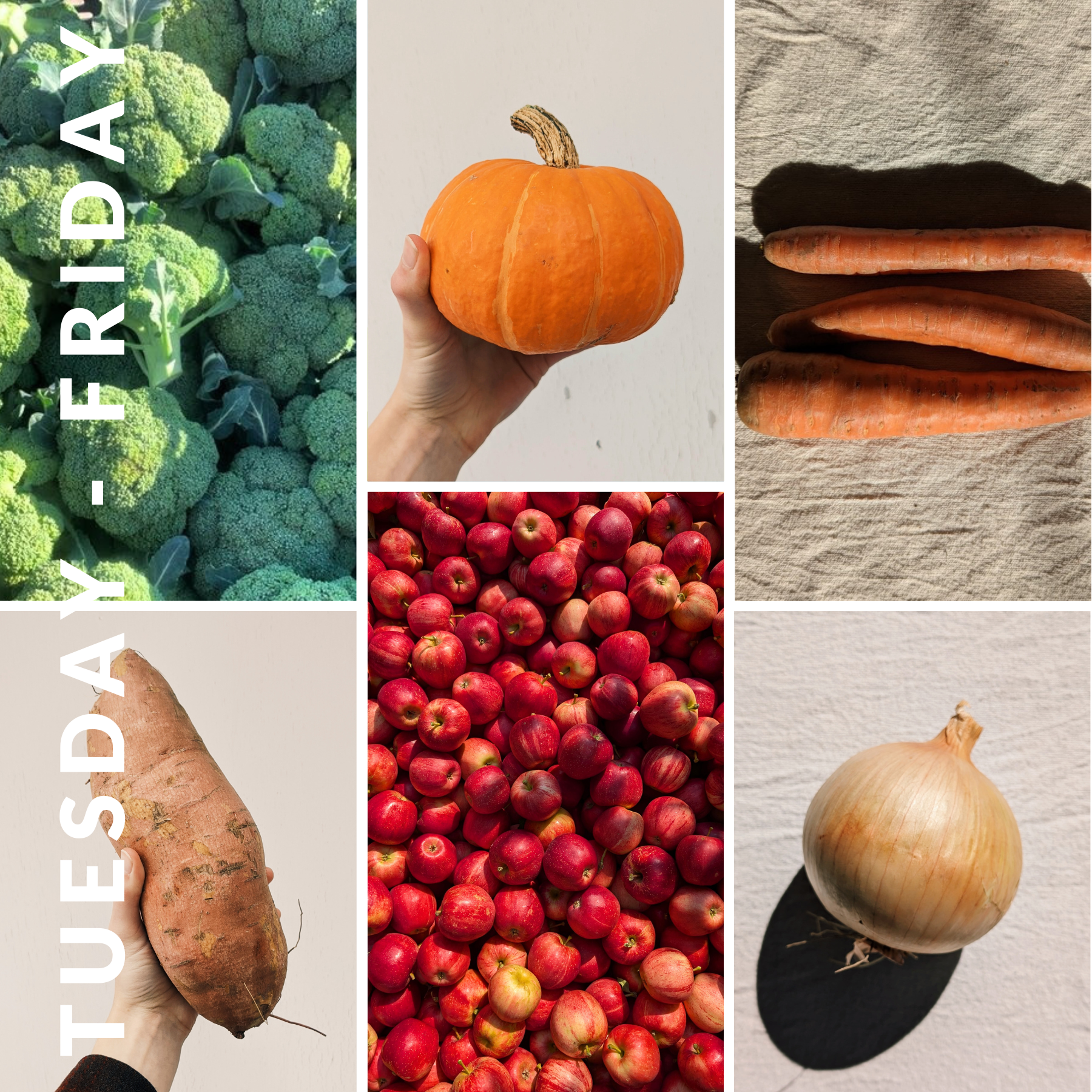 Week of December 31st