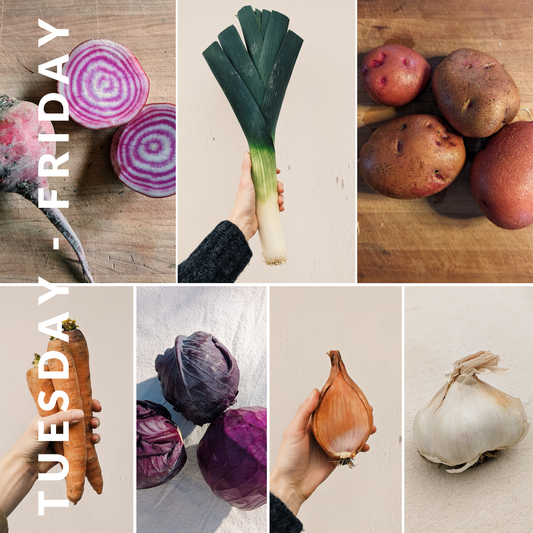 Week of February 4th