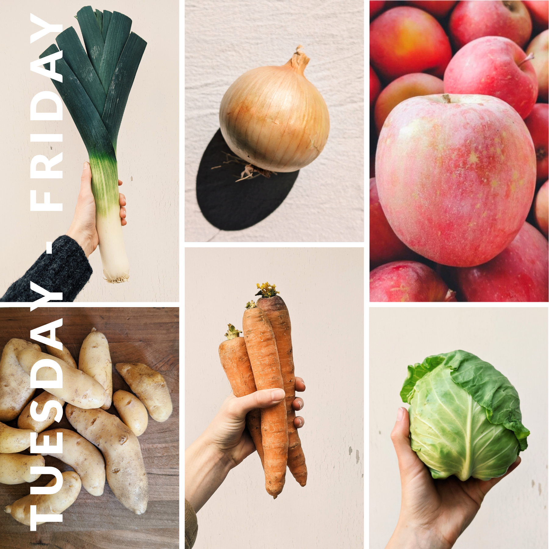 Week of February 25th