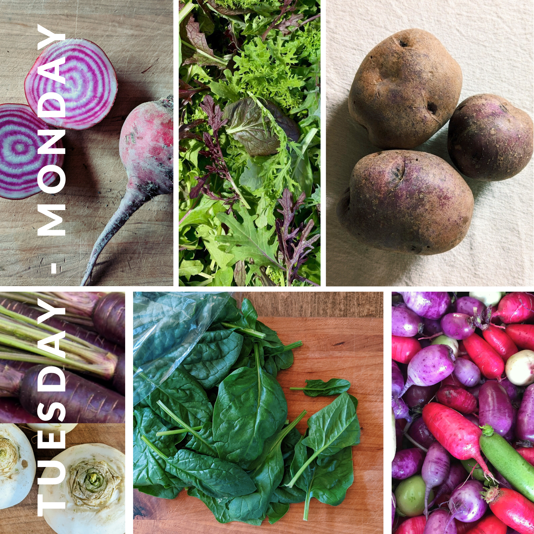 December 16th - December 22nd