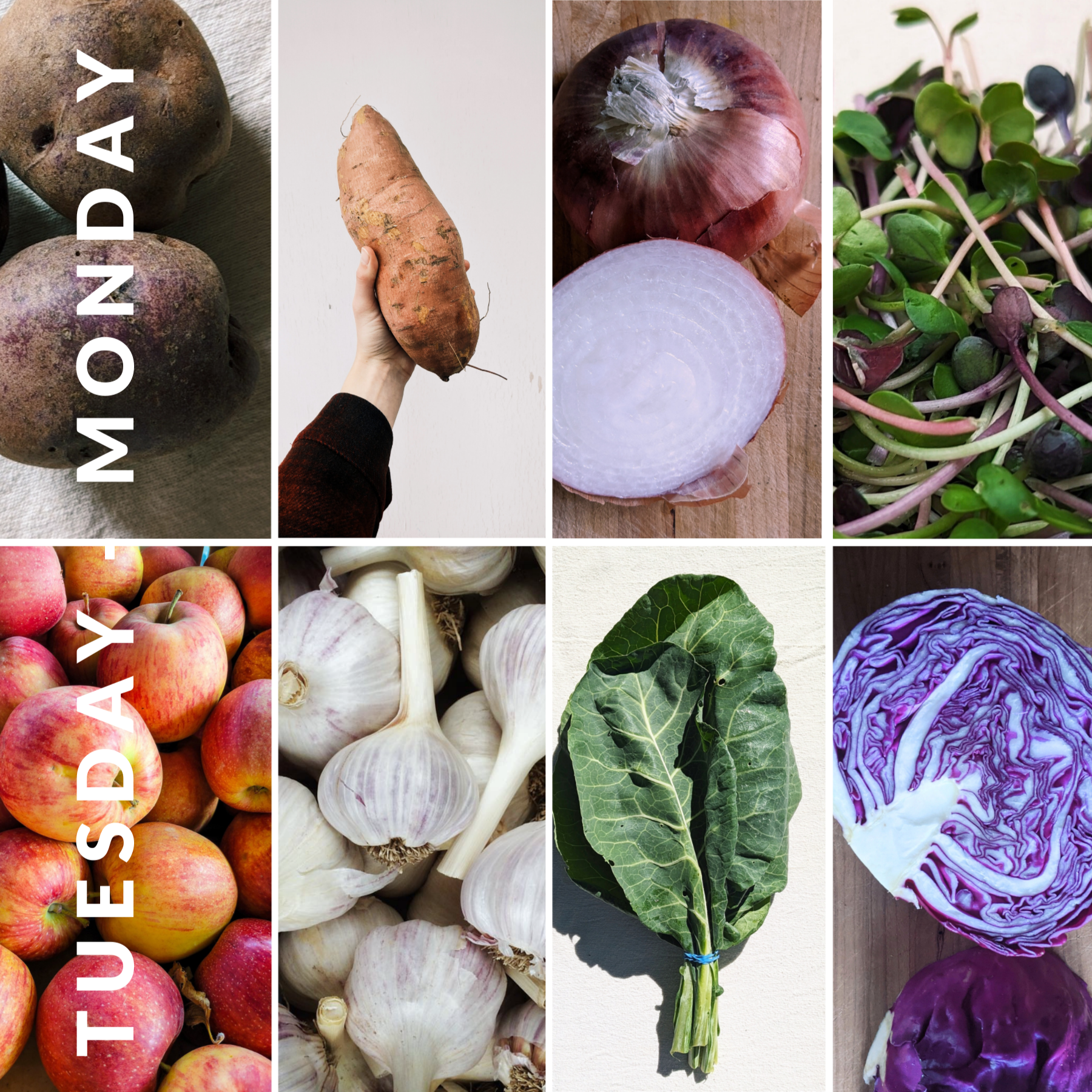 December 23rd - December 29th