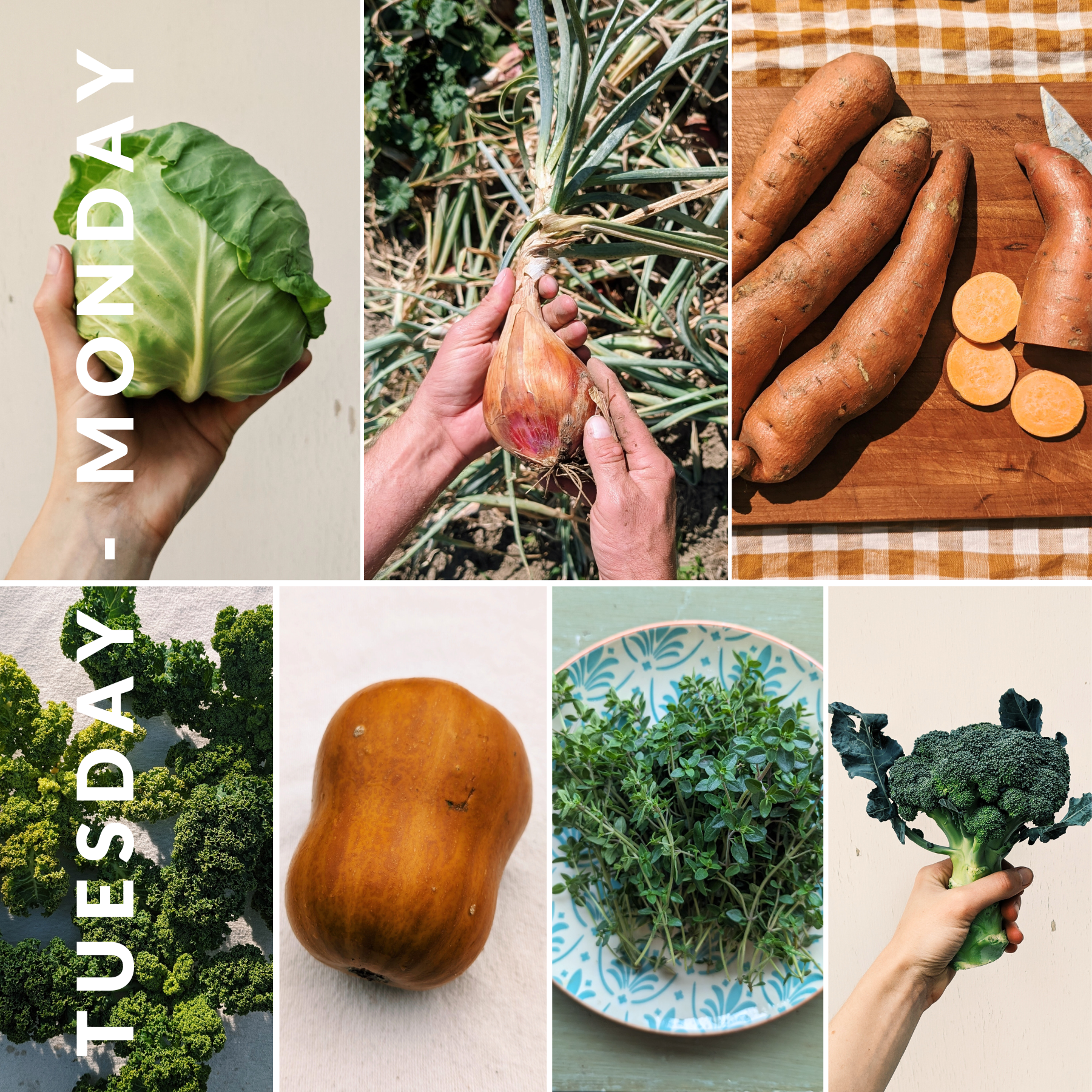 December 30th - January 5th