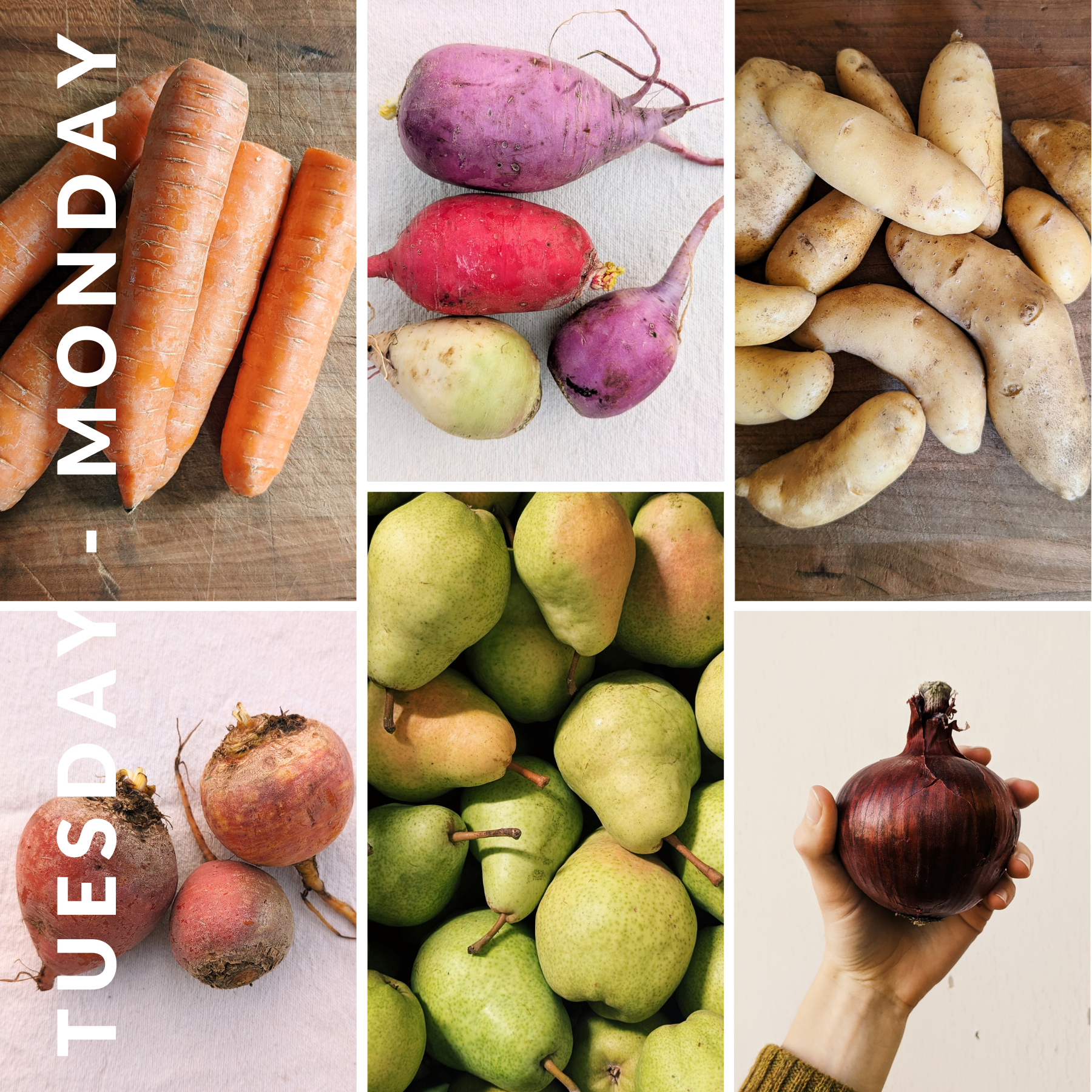 January 6th - January 12th 