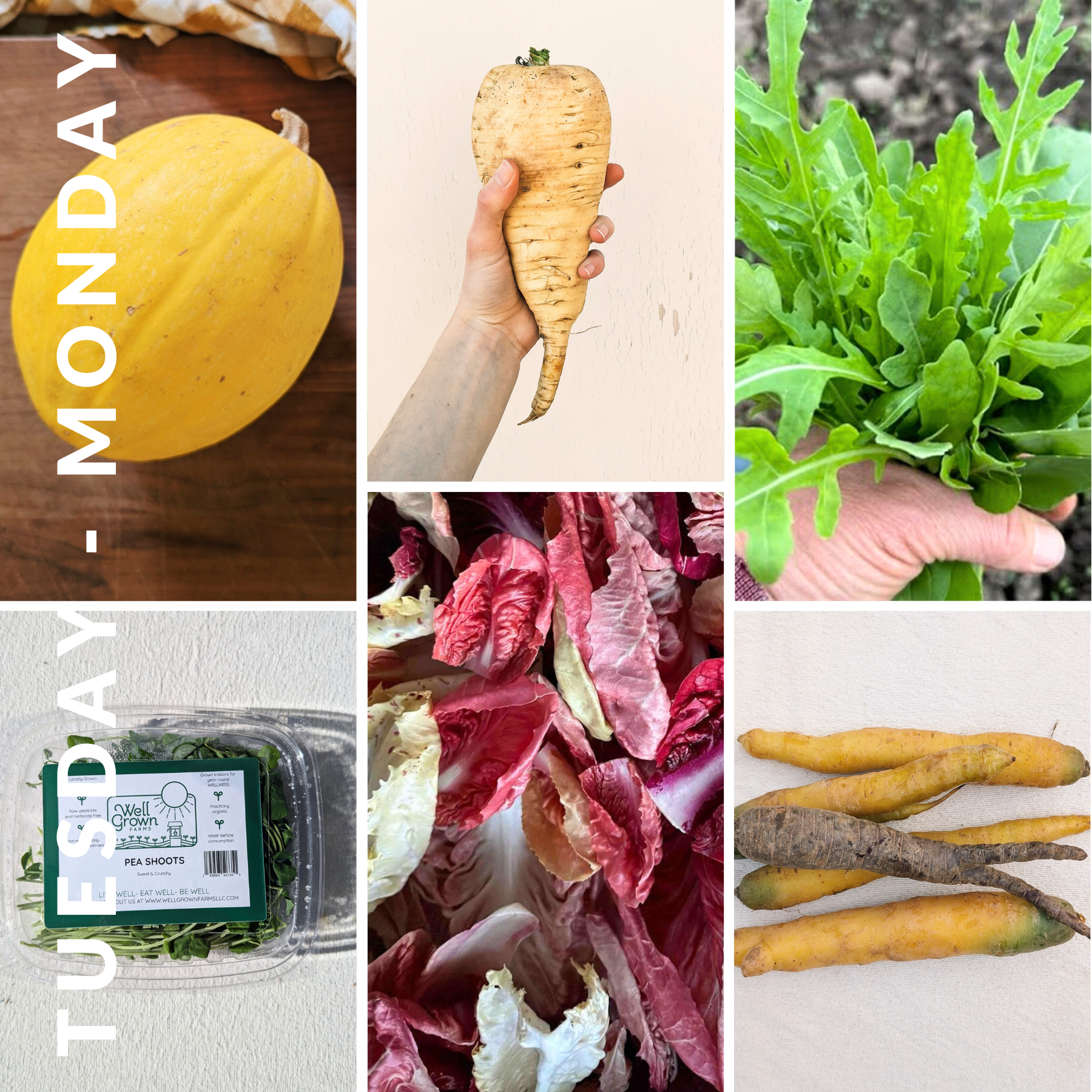 January 13th - January 19th