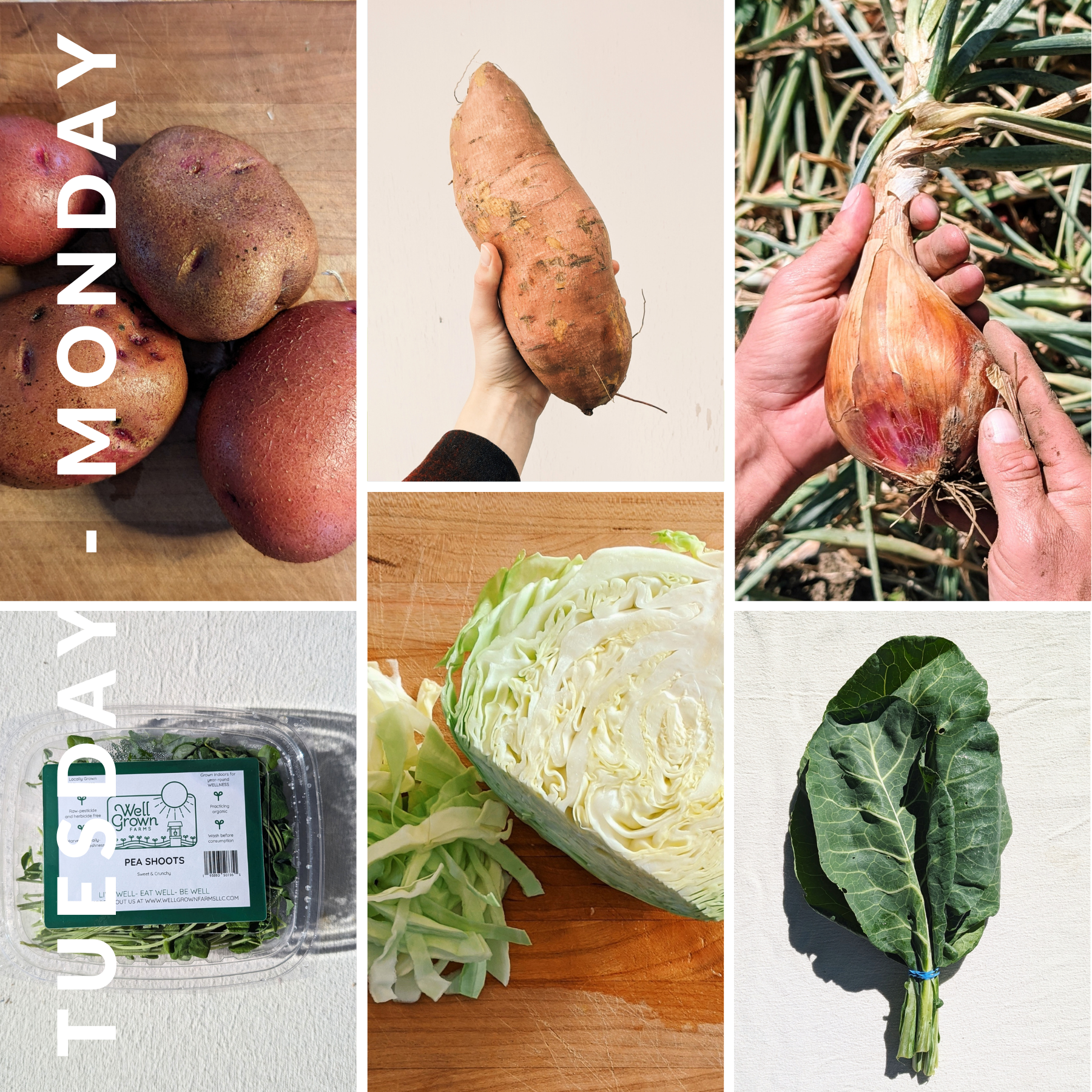 January 20th - January 26th