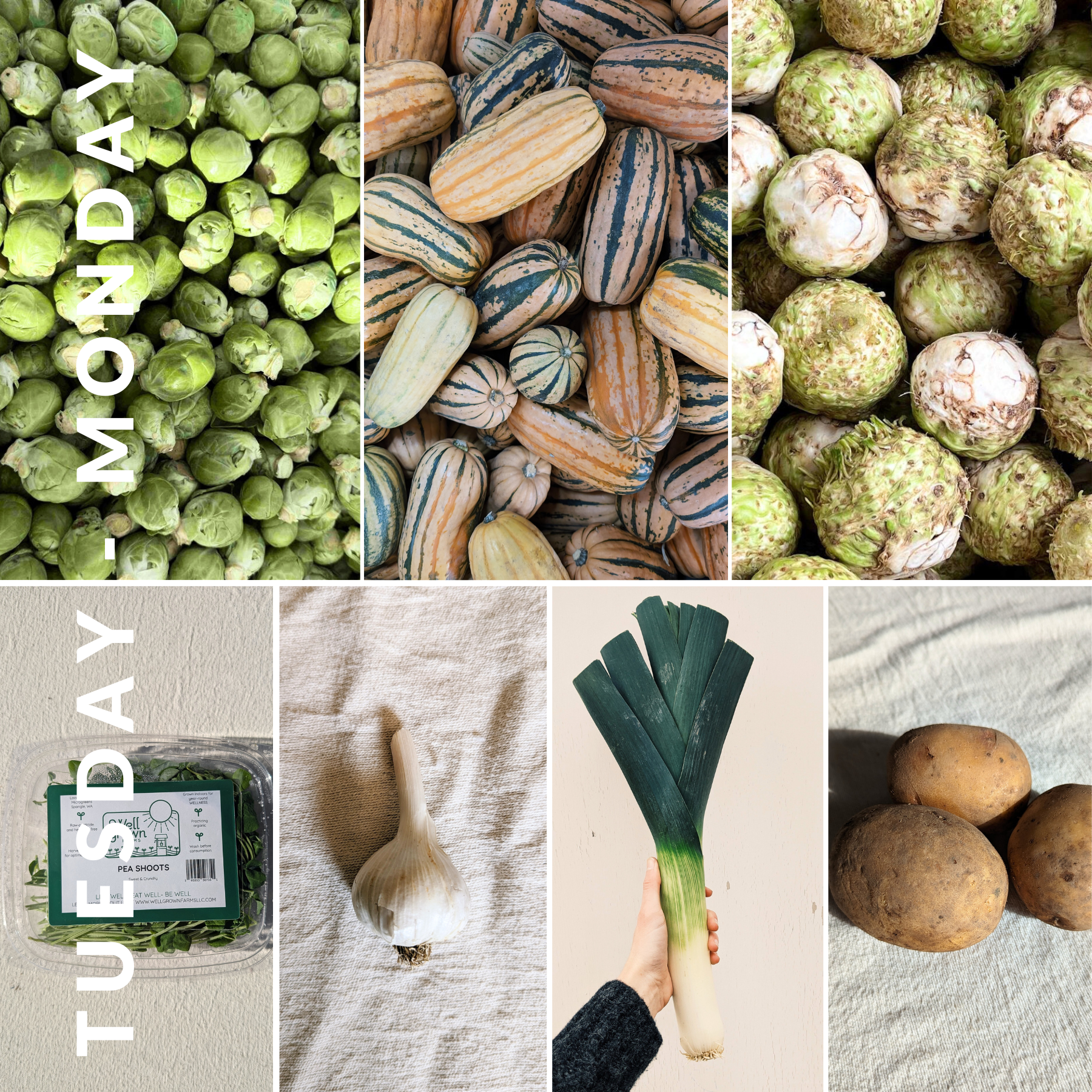 January 27th - February 2nd