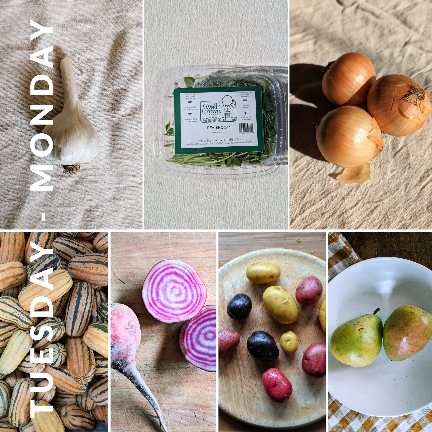 February 3rd - February 9th