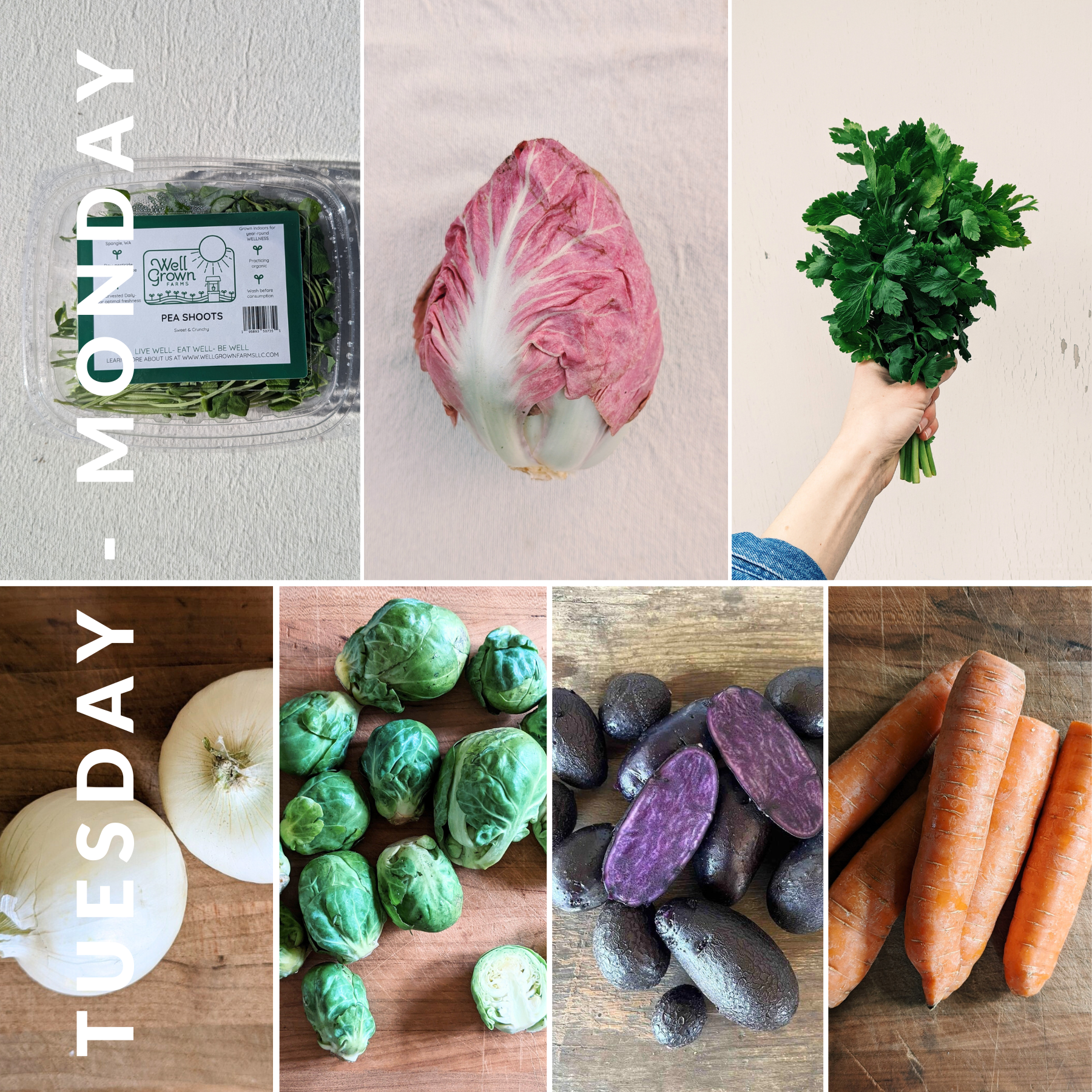 February 10th - February 16th 